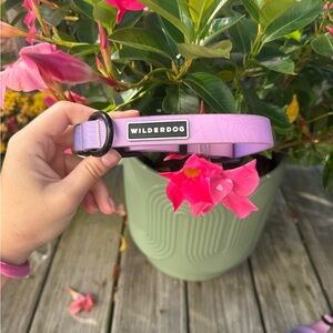 Wilderdog Small Collar